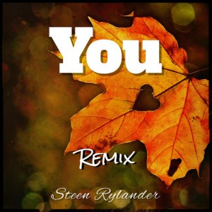 Steen Rylander – What Are You Waiting for Instrumental Remix