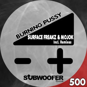 Burning Pussy (DJ Style Remix)