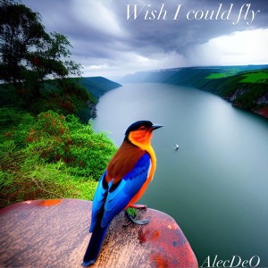 Wish I could fly