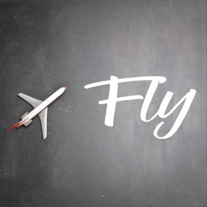 Fly