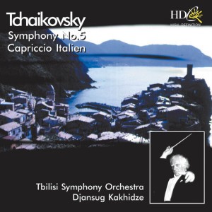 Symphony No. 5 in E Minor, Op. 64: II. Andante cantabile, con alcuna licenza