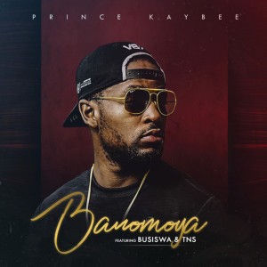 Banomoya feat. Busiswa, TNS