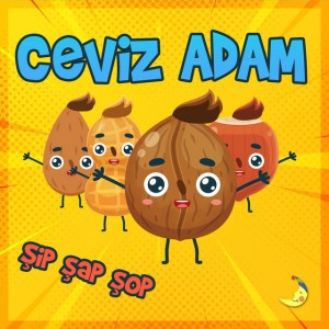 Ceviz Adam Şip Şap Şop