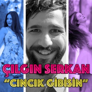 Cıncık Gibisin