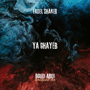 Ya Ghayeb Fadel Shaker - AFROHOUSE MIX