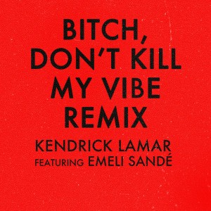 Bitch, Don’t Kill My Vibe - International Remix / Edited Version