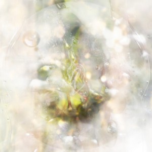 The Encounter