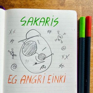 Eg Angri Einki
