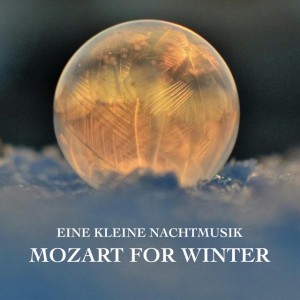 Adagio in E Major, K. 261