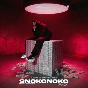 SNOKONOKO (Radio Edit) by Al Xapo & Benzoo & EeQue