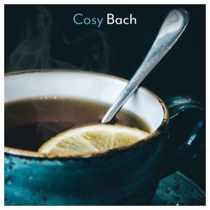 The Well-Tempered Clavier: Book 1, BWV 846-869: 1. Prelude