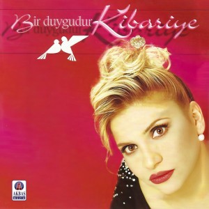 Alıştık artık