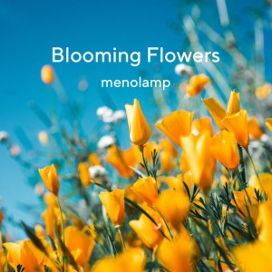Blooming Flowers