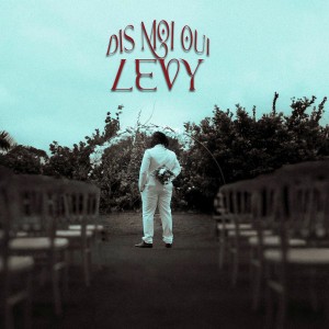 Dis moi OUI by LEVY