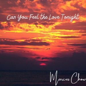 Can You Feel the Love Tonight