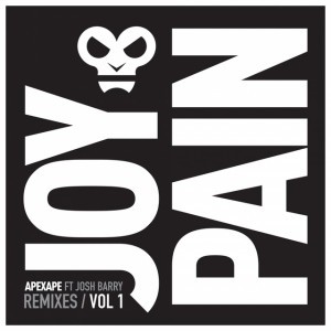 Joy & Pain - Carl Bee Remix