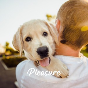 Pleasure