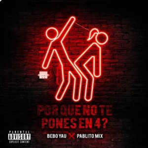 Por Que No Te Pones En 4 (Remix)
