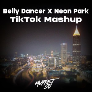 Just wanna see the Belly dancer in the Neon park (Remix)