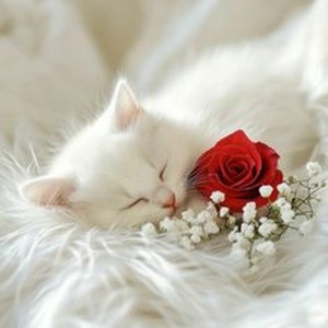 These Are the Ways (slowed) by Slowed Audios