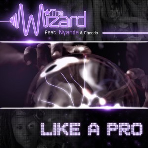 Like a Pro (Feat. Nyanda, Chedda) [Instrumental]