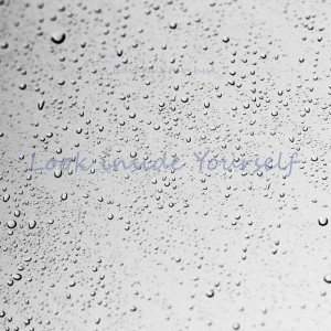 Look Inside Yourself