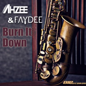 Burn It Down