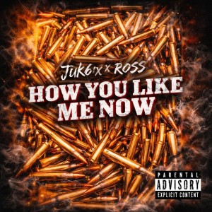 How You Like Me Now (feat. Ross)