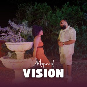 Vision
