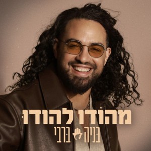 מהודו להודו by בניה ברבי