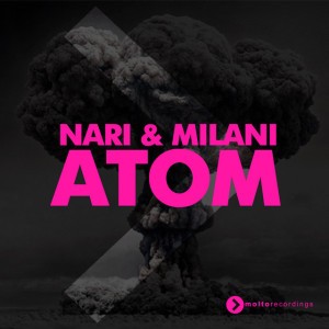 Atom (Maurizio Gubellini & Delayers remix)