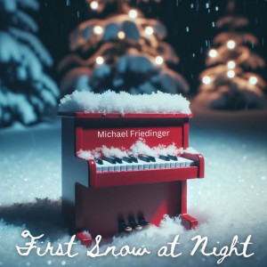 First Snow at Night