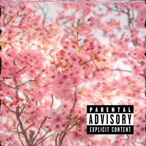 dogfood freestyle
