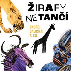 Jít za svým snem