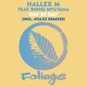 Day by Day (Atjazz Remix Edit)