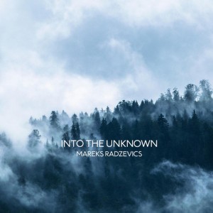 Into the Unknown