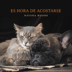 Es hora de acostarse
