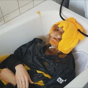 Honigcaustsong