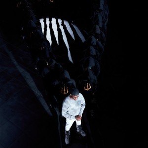 Pétunias by Werenoi