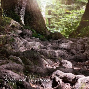 Roots and Reverence