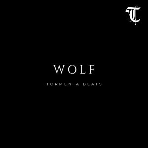 WOLF (Freestyle Boom Bap Beat)