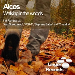 Walking in the woods (Radio Edit)