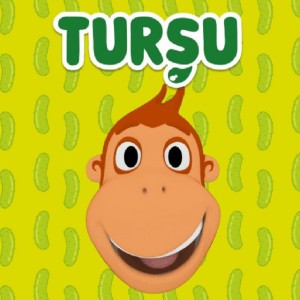 Turşu
