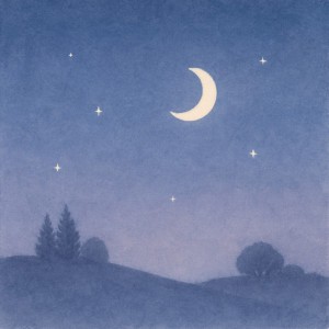 Night night
