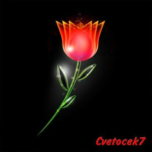 Отпусти