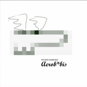 Aerobybis