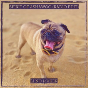 Spirit of ashawoo - Radio Edit