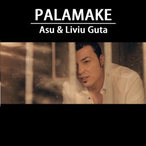 Palamake