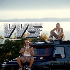 Vvs