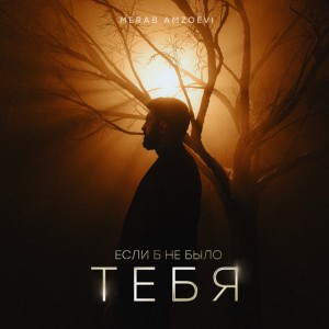 Если б не было тебя